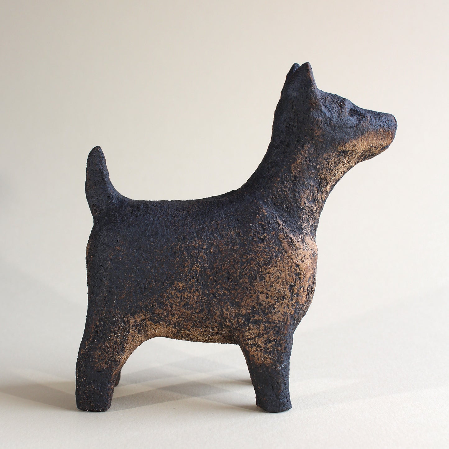 Dog 02