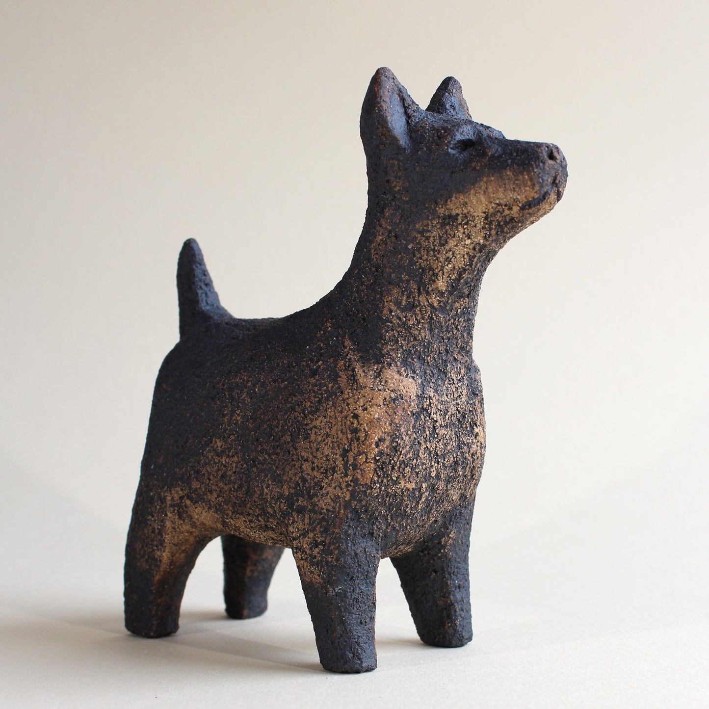 Dog 02