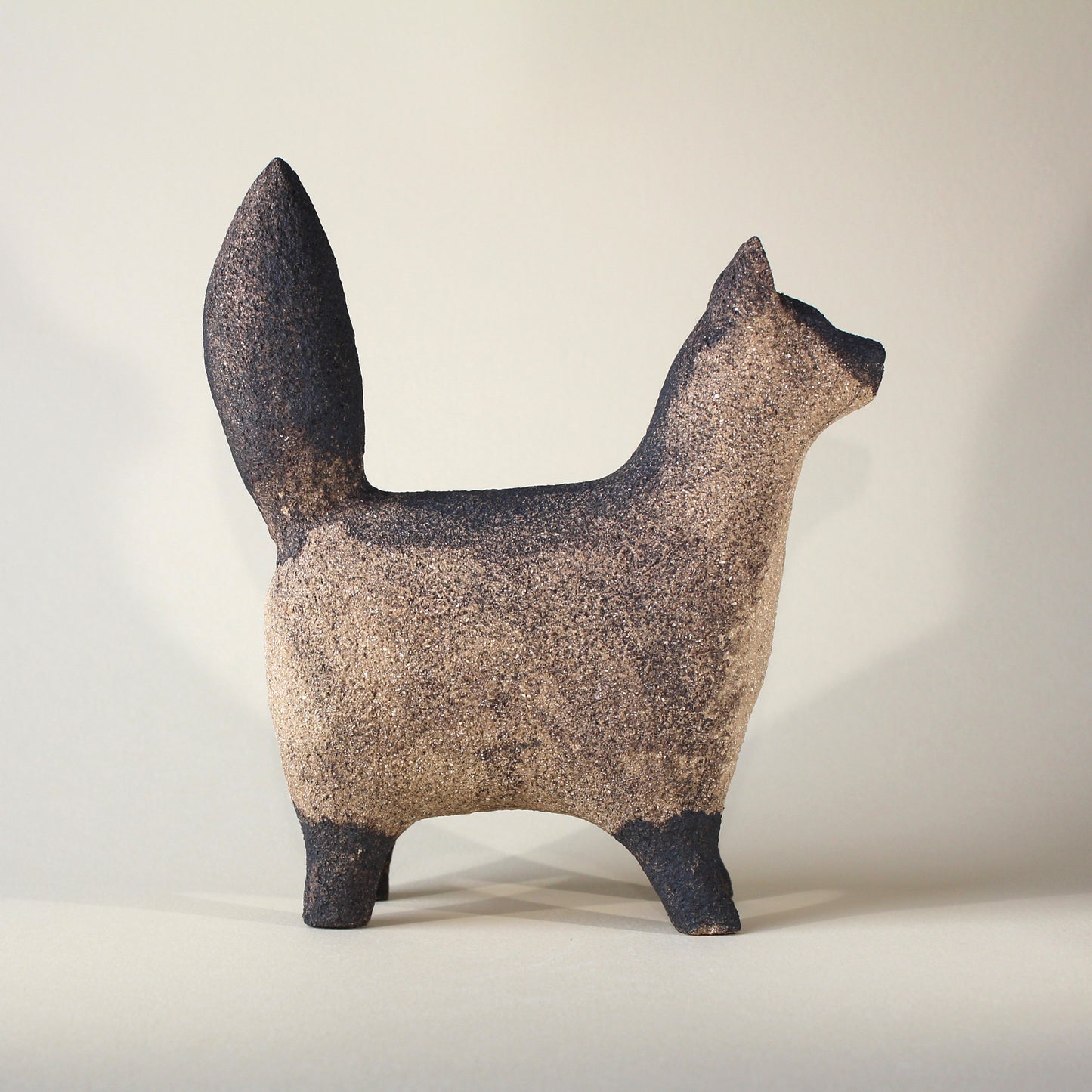 Cat 02